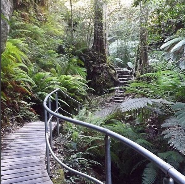 Valley hike, Blue Mountains, Australia. Photo: AmaandaRaae