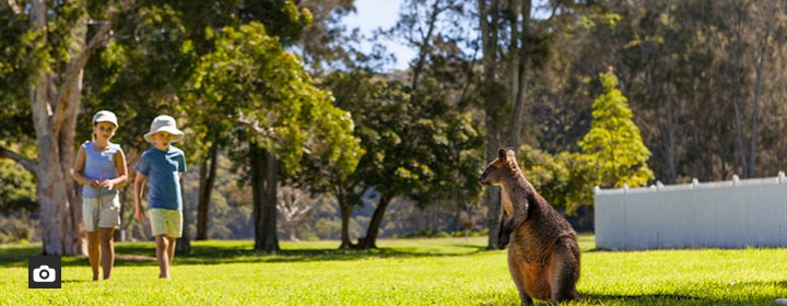 Beach Camping Sydney. The Basin Campground, Ku-ring-gai Chase National Park. Photo: National Parks NSW