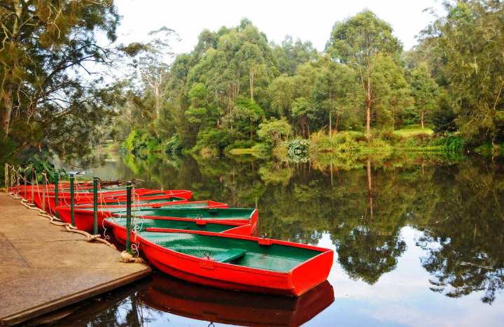 Camping Sydney. Lane Cove River Tourist Park. Photo: National Parks NSW.