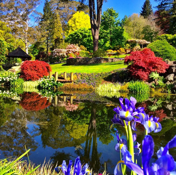 Free camping blue mountains. Mount Wilson. Photo: IAmYcel