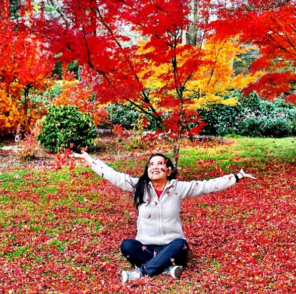 Free Camping Blue Mountains. Mount Wilson. Photo: IAmYcel