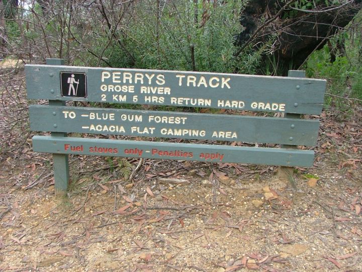 Perrys Track from Perrys Lookdown campground. Free camping Blue Mountains