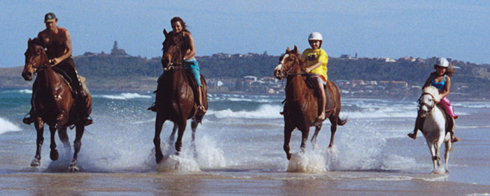 horse-riding-byron-bay