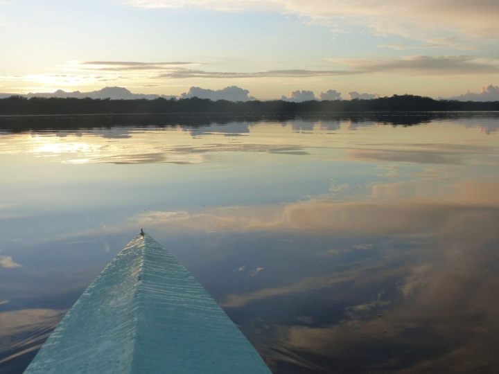 bombah-broadwater-berowrabackyard