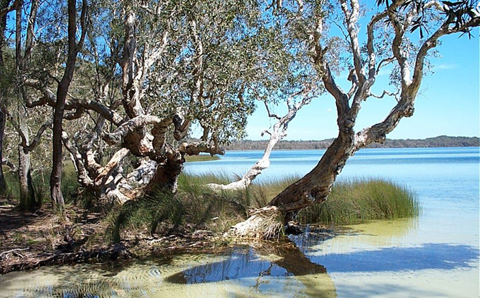 myall-lake-environment-australia