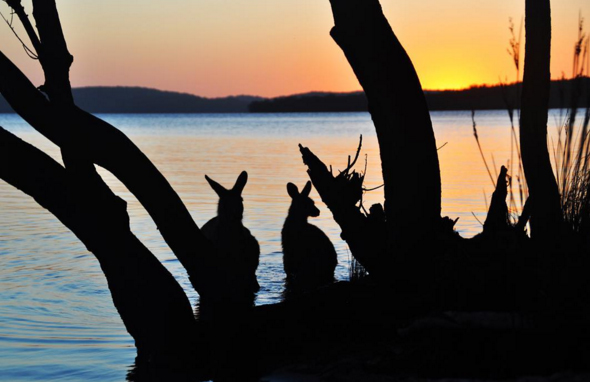 myall_lakes_simonegga