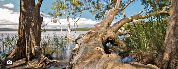 myall_lees_dees_corner2