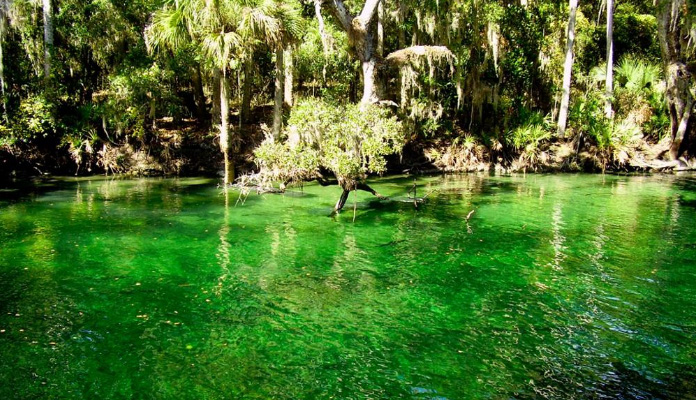 bluesprings-kimberly_piper