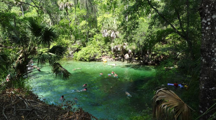 bluesprings_betty-prinze