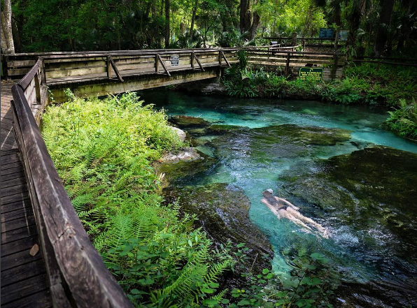 rocksprings-fly_with_jenna