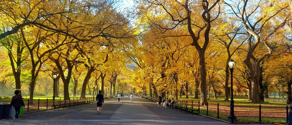 The Mall, fall foliage, Central Park.