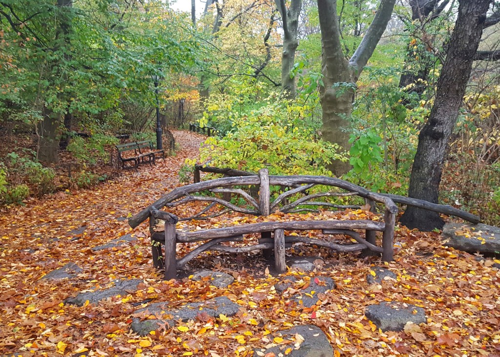 Autumn, The Rambles, Central Park