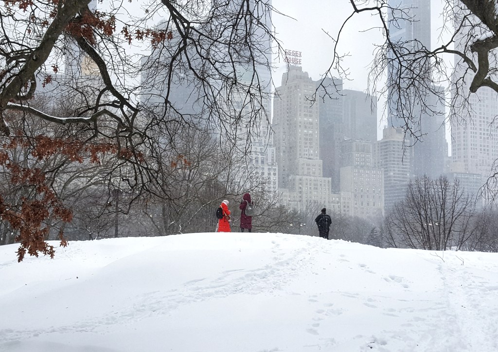 Snowing, New York City, Manhattan backdrop.