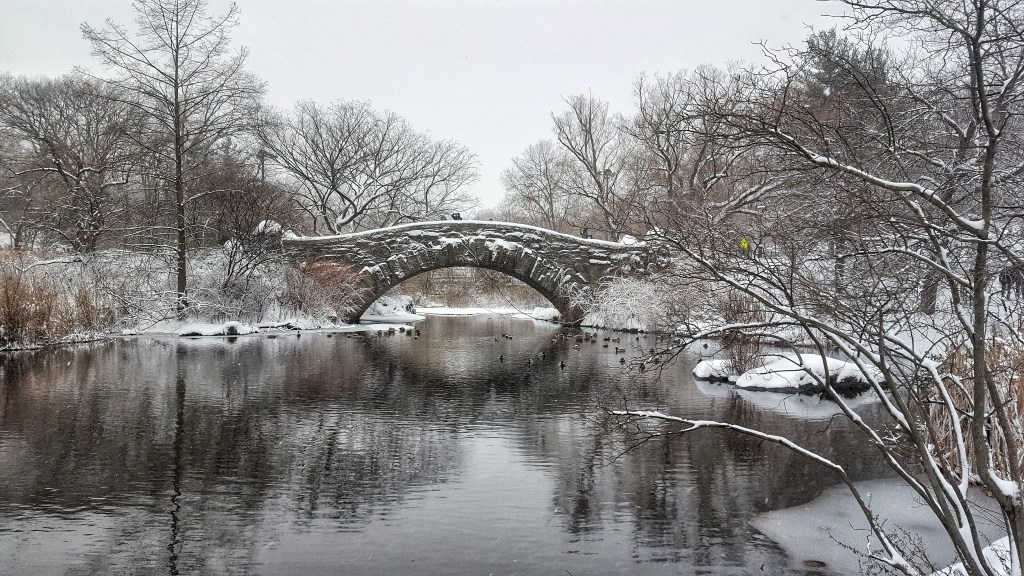 Padstow Bridge in the snow, New York City, Central Park.
