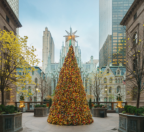 NYC Christmas tree -- Lotte New York Palace hotel